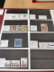 Delcampe - Denmark Collection Dealers 2 Display Book Postfris** - Collections (en Albums)