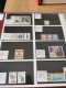 Delcampe - Denmark Collection Dealers 2 Display Book Postfris** - Collections (en Albums)