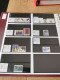 Delcampe - Denmark Collection Dealers 2 Display Book Postfris** - Sammlungen (im Alben)