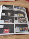 Delcampe - Denmark Collection Dealers 2 Display Book Postfris** - Collections (en Albums)