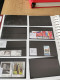 Delcampe - Denmark Collection Dealers 2 Display Book Postfris** - Sammlungen (im Alben)