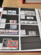 Delcampe - Denmark Collection Dealers 2 Display Book Postfris** - Sammlungen (im Alben)