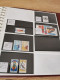 Delcampe - Denmark Collection Dealers 2 Display Book Postfris** - Sammlungen (im Alben)