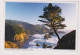 AK 200782 USA - Oregon - Küste Am Samuel H. Boardman State Park - Autres & Non Classés