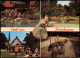 Brunkensen-Alfeld (Leine) RÄUBER-LIPPOLD-PARK (Mehrbildkarte) 1987 - Alfeld