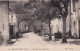 LA CRAU  LA MOUTONNE  AVENUE DES ACACIAS  1926     TRES BELLE CARTE ANIMEE - La Crau