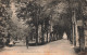 FRANCE - Châlons Sur Marne (Marne) - Vue De L'allées Centrale Du Jard - Carte Postale Ancienne - Châtillon-sur-Marne