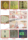 Macau Macao Paper Money 2008-2014  Banknotes 50 Patacas Banco Nacional Ultramarino  UNC Banknote - Macao