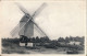 KASTERLEE    STANDAARD MOLEN IN DE HEESBERGEN       2 SCANS - Kasterlee