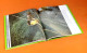 Delcampe - 20 Ans D' Images  GEO  (1999) 190 Pages (310x270)mm Solar - Fotografía