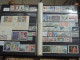 Delcampe - Francia Area Franco 600 Francobolli MNH Valore Catalogo MICHEL 2004-2005  1800 Euro - Collections (without Album)