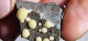 Delcampe - Calcite Globulare Montalto Di Castro 10,13gr Italia - Mineralien