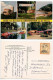Austria 1999 Postcard Grüße Von Der Rast In Greifenstein An Der Donau; 7s. The Cruel Lady Of Forchtenstein Castle Stamp - Tulln
