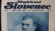 Newspaper Priloga Ilustrirani Slovenec, Dr.Fran Miklosic. - Slavische Talen