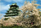 CPM Osaka Castle JAPAN (1185321) - Osaka