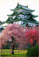 CPM Nagoya Castle JAPAN (1185650) - Nagoya