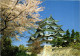 CPM Nagoya Castle Cherry Blossoms JAPAN (1185648) - Nagoya