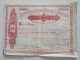 1905 Action New Rhodesia Mines Limited South Africa - Mineral