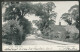 Luton 1904 - Parkroad - Altri