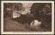 Domburg 1917 - Oude Brug In Het Park Westhove - Domburg