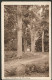 Domburg 1917 - Park Westhove - Domburg