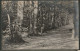 Domburg 1917 - Weg Door Het Bos - Domburg