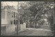 Domburg 1917 - Noordweg Met Fietsers In De Verte - Domburg