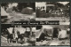 Ermelo 1968 - Camping Het Plaggengat - Pony, Paard, Horse - Ermelo