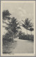 Zanzibar: 1914, Ansichtskarte Aus Zanzibar Nach Lübeck, Frankiert Mit Sultan Sey - Zanzibar (...-1963)