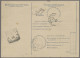 San Marino: 1909,17.2., Paketkarte Mit Wertstempel Zu 60c Bedarfsgebraucht Mit Z - Covers & Documents