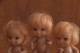 Delcampe - Lot 3 Poupées Miniatures - Puppen