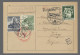 Delcampe - Deutsches Reich - 3. Reich: 1941, Tag Der Briefmarke, Sammlung Der Sonderstempel - Lettres & Documents