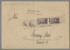 Delcampe - Deutsche Abstimmungsgebiete: Saargebiet: 1920-1944, STEMPELSAMMLUNG, über 800 Be - Briefe U. Dokumente