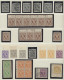 Bizone: 1945-1946, AM-Post-Spezialsammlung Aller 3 Drucke In Einem Selbstgestalt - Other & Unclassified