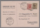 Delcampe - Italy: 1867-1946, Empfangsbestätigungen / Rückscheine (ricevuta Di Ritorno), Abw - Colecciones