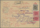 Delcampe - Yugoslavia: 1925-1929, 20 Paketkarten (vier Davon Links Ohne Coupon), Alle Mit F - Covers & Documents