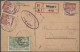 Delcampe - Hungary: 1919/1920, Collection Of 66 Covers/cards Showing A Lovely Range Of Inte - Debreczen