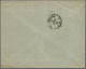 Argentina: 1885-1897 (c.) 10 Franked Covers Ex Mi.No. 32-87 Mostly To Germany Pl - Autres & Non Classés