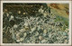 Puerto Rico: 1917/1924, Assortment Of 34 Used Ppc Incl. Real-photocards, Plus On - Puerto Rico