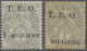 Syria: 1919, T.E.O. Overprints On France, 1m. On 1c. Grey, Two Stamps: (1) Mint - Syria