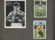 Delcampe - Thematics: Sport-soccer, Football: 1960er Jahre, Sammlung Von Etlichen Autogramm - Other & Unclassified