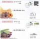 Delcampe - China 2010 With Best Wishes For 2010  EXPO Commemorative Covers(41V) - 2010 – Shanghai (Chine)