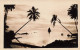 Nouvelle Calédonie - Carte Photo - Palmier - Bateau - Mer - Carte Postale Ancienne - Nueva Caledonia