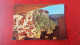 Mesa Verde Park Affranchie 1979 - Mesa Verde