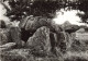 BELGIQUE - Durbuy - Les Environs - Le Dolmen De Wéris - Carte Postale Ancienne - Durbuy