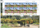 ISRAEL 2024 RAMAT HANADIV GARDENS STAMP SHEETS FDC's - SEE 3 SCANS - Ongebruikt