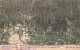 Nouvelle Calédonie - Forêt De Palétuviers - Pour Le Tannage Du Cuir - Oblitéré 1904  - Carte Postale Ancienne - Nieuw-Caledonië