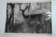Delcampe - Portfolio Original De Pierre Duverger Pendant Son Voyage En Afrique En 1957 En 2CV, Format 30/40 40 Photos - Afrika