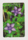 SOUTH KOREA - Flowers Magnetic Phonecard - Corée Du Sud