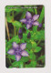 SOUTH KOREA - Flowers Magnetic Phonecard - Korea (Süd)
